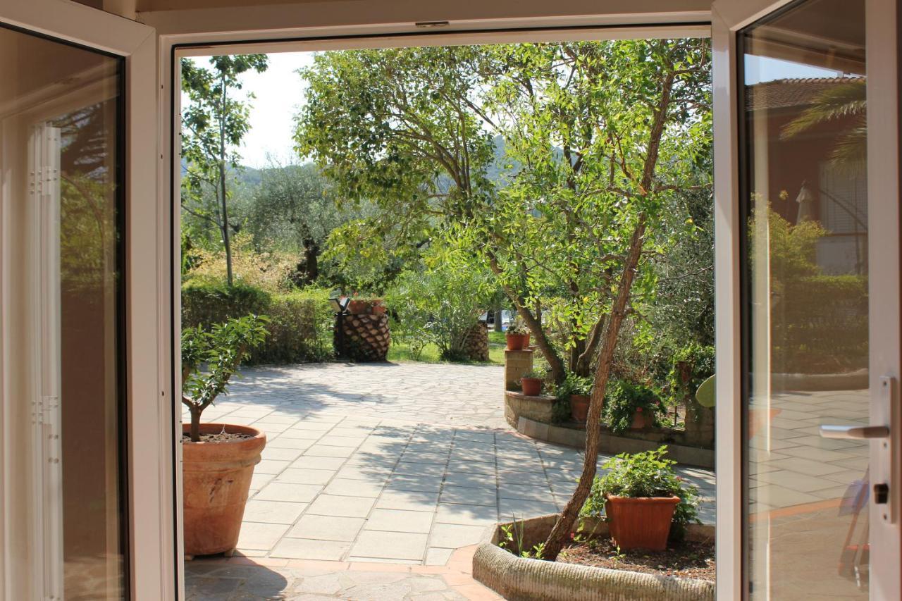 Agriturismo Buen Camino Scarlino Exterior photo
