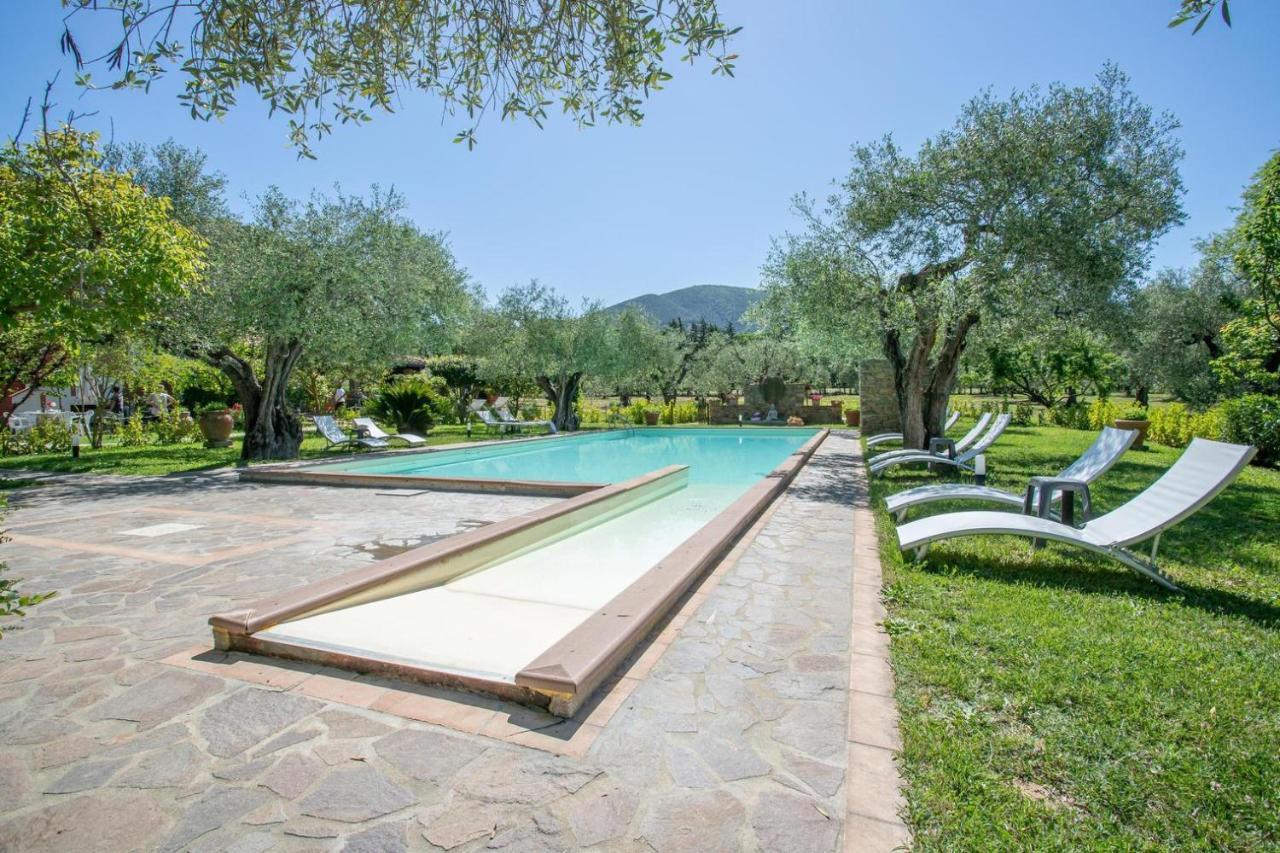 Agriturismo Buen Camino Scarlino Exterior photo
