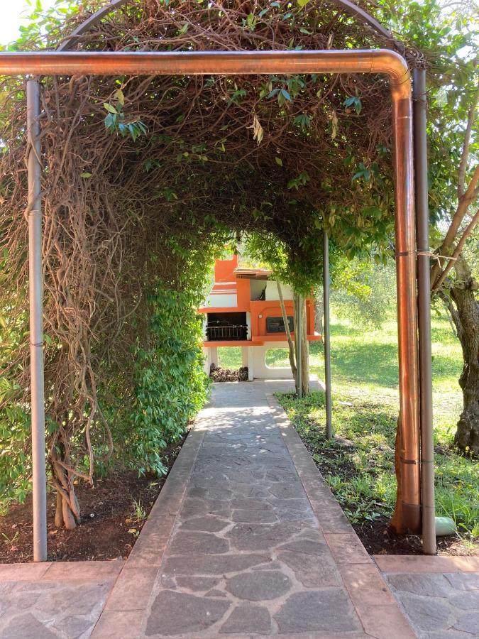 Agriturismo Buen Camino Scarlino Exterior photo
