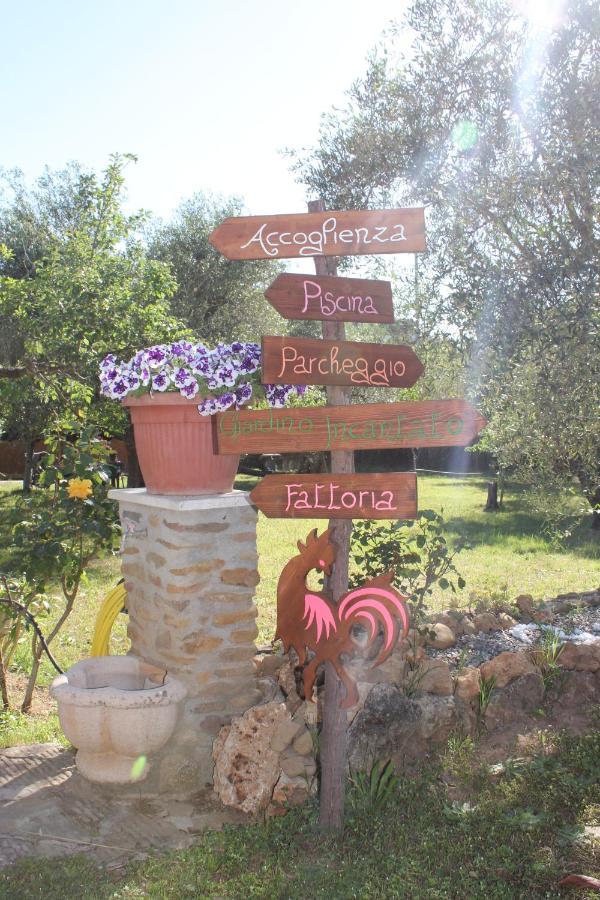 Agriturismo Buen Camino Scarlino Exterior photo